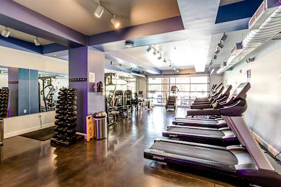 A gym with treadmills and exercise equipment.