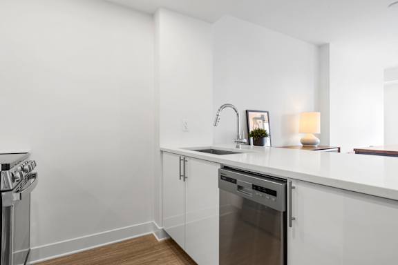 A modern kitchen with a dishwasher and a sink.