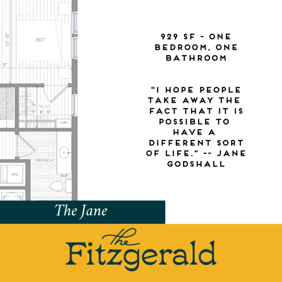 Jane Floor Plan at The Fitzgerald, Spartanburg, 29302