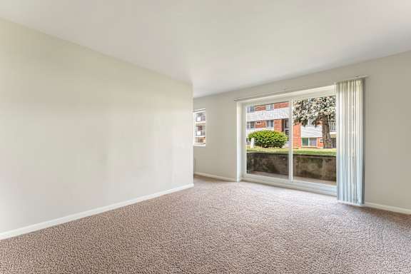 A room with a carpeted floor and a window showing a view of a building and trees.