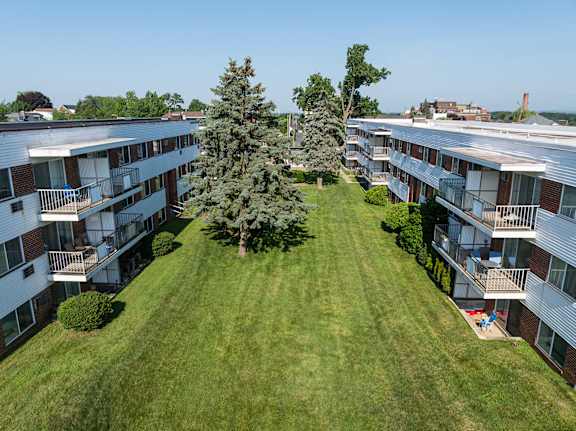 A tree in the middle of a grassy courtyard surrounded by apartment buildings.