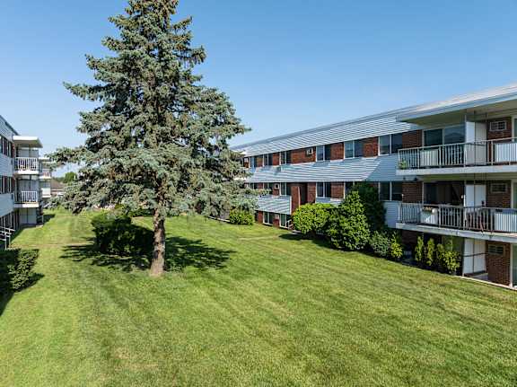 A tree stands in a grassy area in front of apartment buildings.