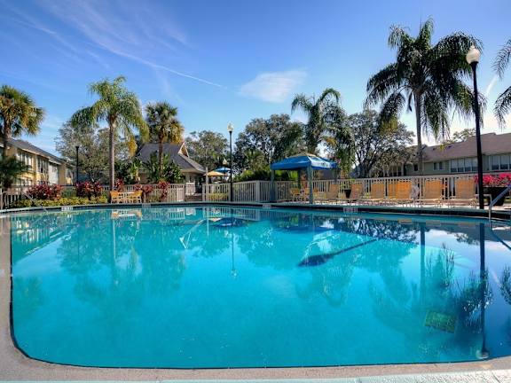 A large swimming pool surrounded by palm trees and a fence.