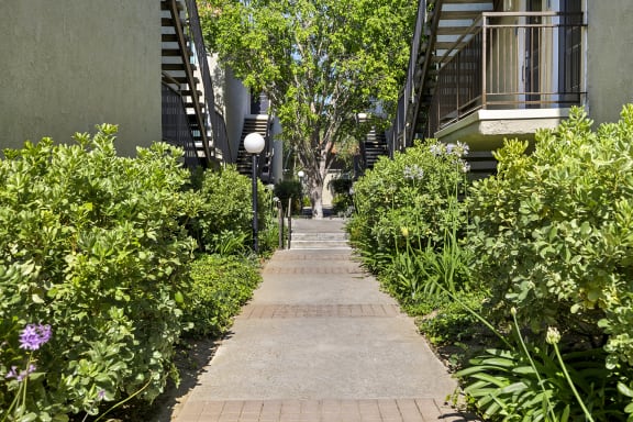 a walkway between buildings with bushes and trees