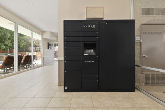 the lockers in the lobby of the building are black
