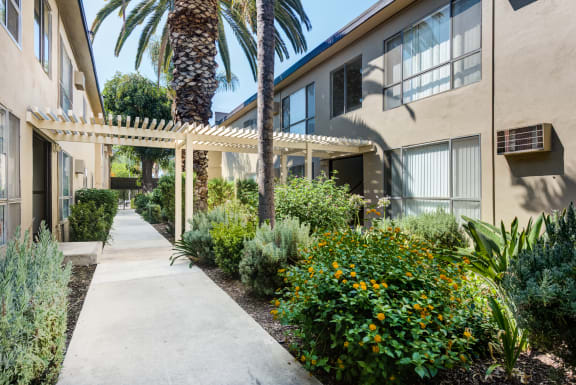 a sidewalk in front of a building with plants and palm trees