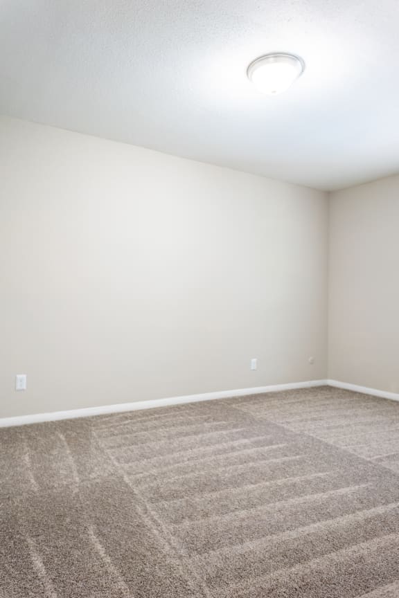 a large empty room with a carpeted floor