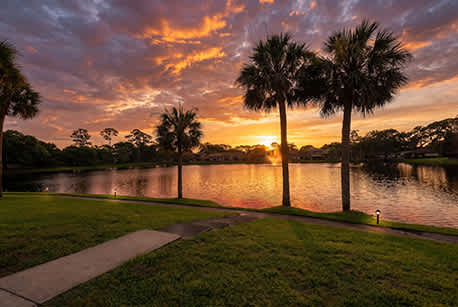 Two palm trees stand by a body of water at sunset.