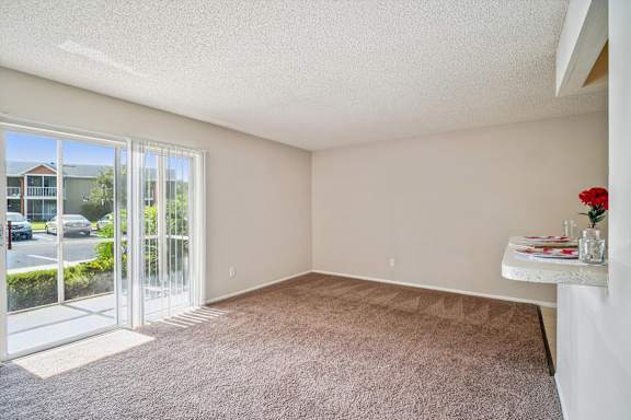 Spacious Living Area with Carpet