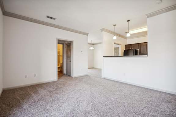 Spacious Living Area with Carpet