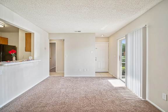Spacious Living Area with Carpet