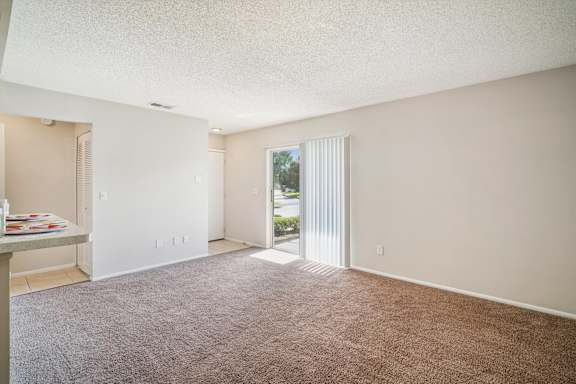 Living Room with Plush Carpeting