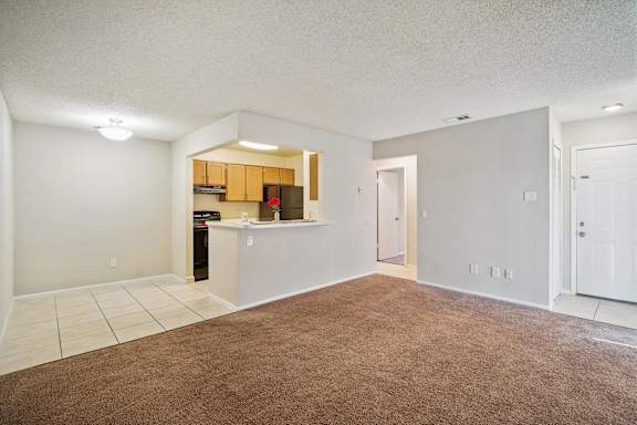 Spacious Living Area with Carpet