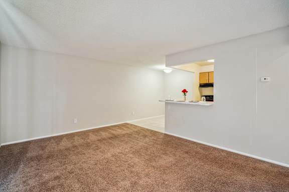 Spacious Living Area with Carpet