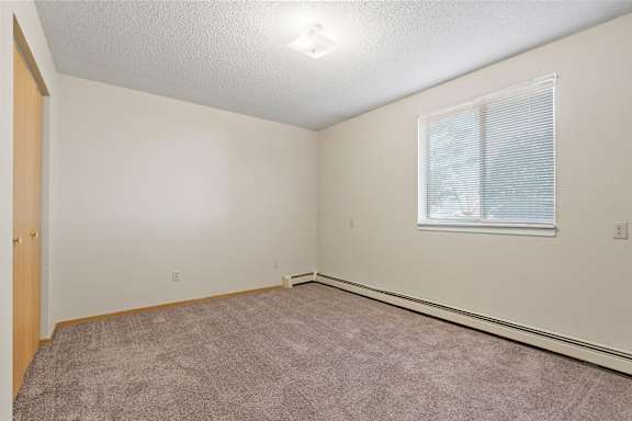 Bedroom with Plush Carpeting