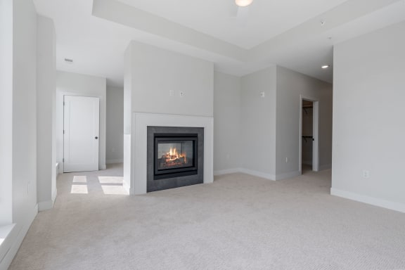 Bedroom with Fireplace