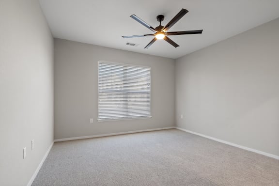Bedroom with Plush Carpeting