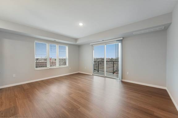 Spacious Living Area With Wood-Style Flooring