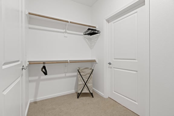 Walk-In Closet With Built-In Shelving