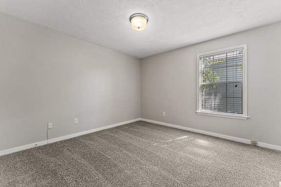 Bedroom with Plush Carpeting