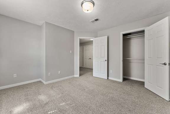 Bedroom with Large Closet
