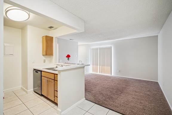 Spacious Living Area with Carpet