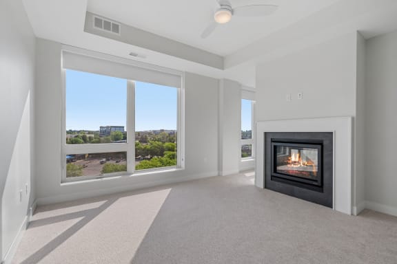 Bedroom with Fireplace