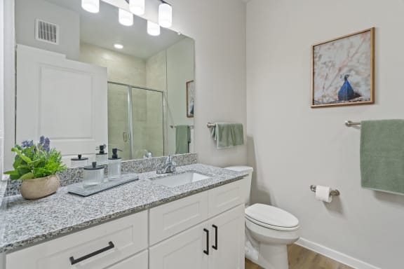Bathroom With Granite Vanities