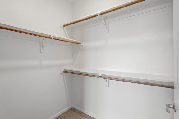 Walk-In Closet With Built-In Shelving