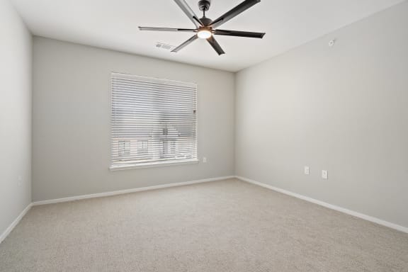 Bedroom with Plush Carpeting