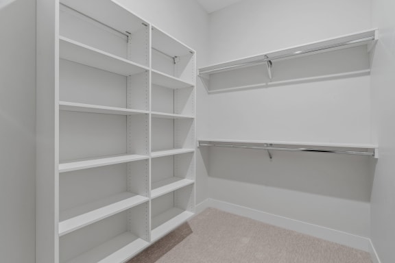 Walk-In Closet With Built-In Shelving