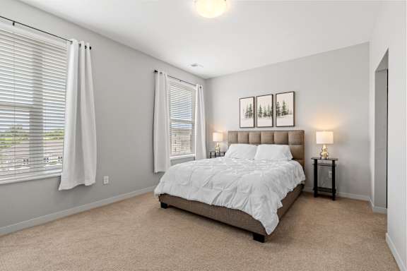 Bedroom with Plush Carpeting