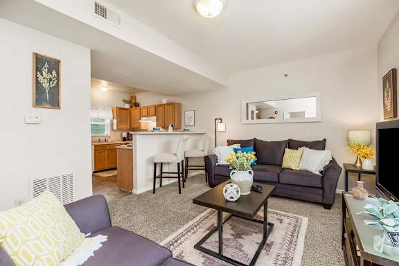 Living Room with Plush Carpeting