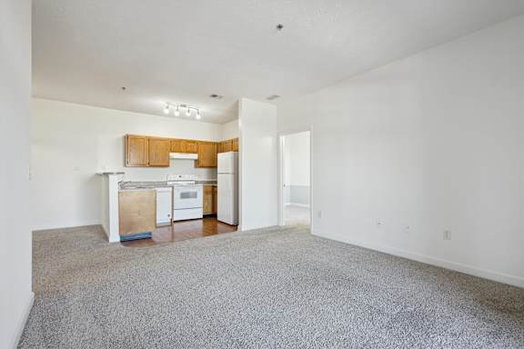 Living Room with Plush Carpeting