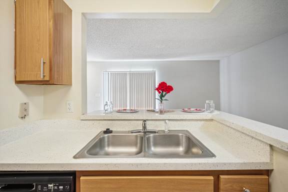 Kitchen with Double Sink
