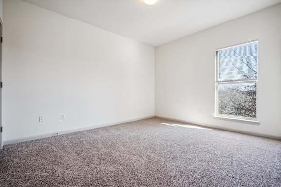 Bedroom with Plush Carpeting