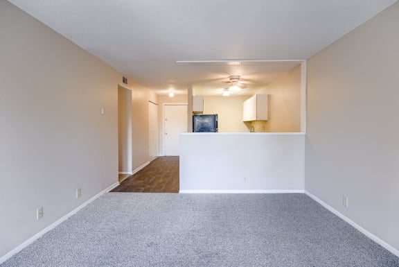 Spacious Living Area with Carpet