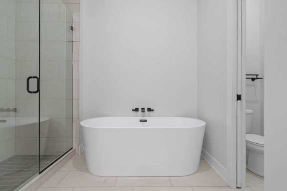 Freestanding Soaking Tub