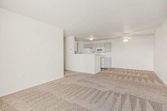Spacious Living Area with Carpet