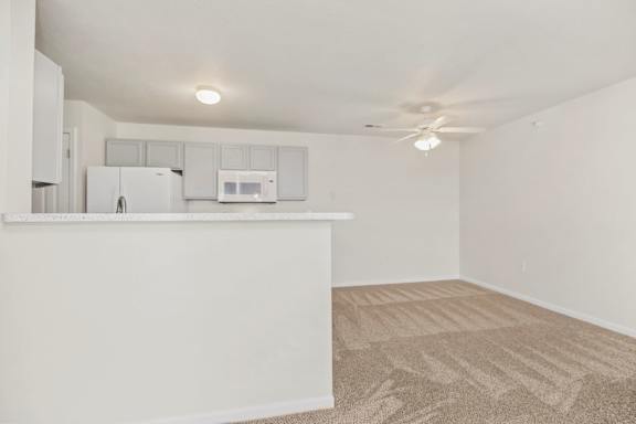 Dining Area with Plush Carpeting