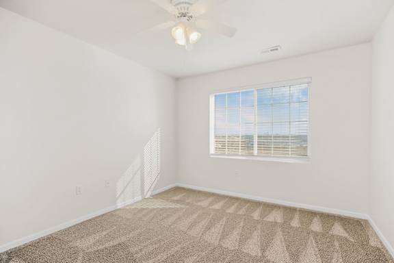Bedroom with Plush Carpeting