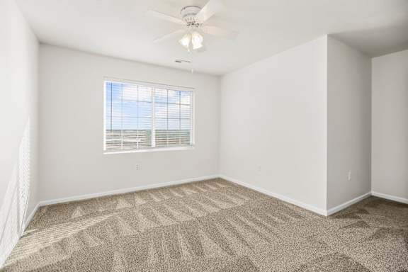 Bedroom with Abundant Natural Light