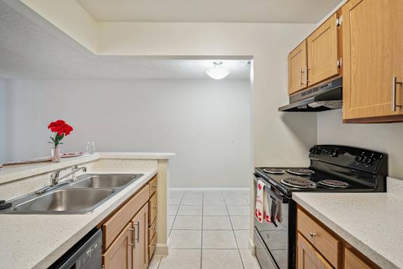 Fully-Equipped Kitchen