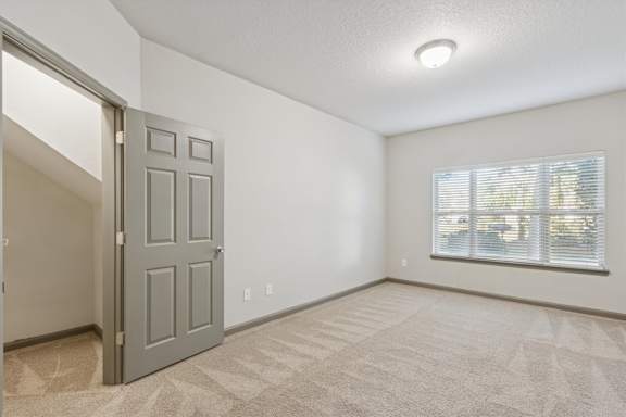 Bedroom with Large Window