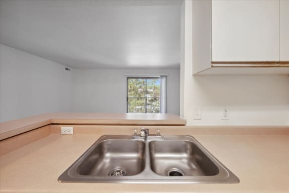 Kitchen Sink