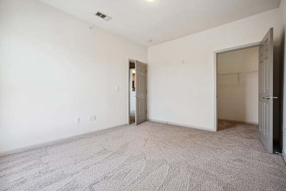 Bedroom With Walk-In Closet