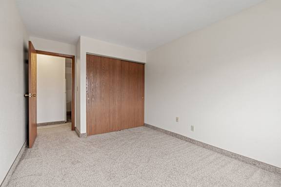 Bedroom with Large Closet