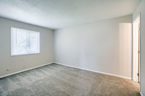 Bedroom with Plush Carpeting