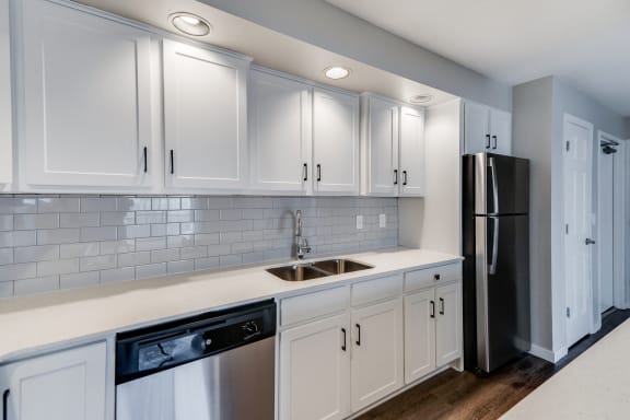 Stainless Steel Dishwasher and Fridge