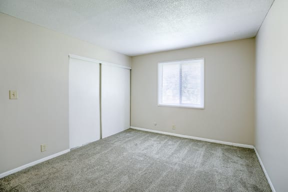 Bedroom with Plush Carpeting